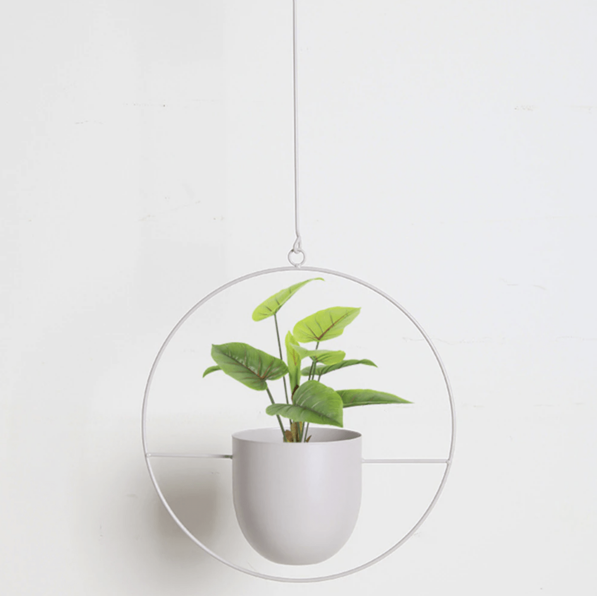 Wall Plant Hanger with Adjustable Chain