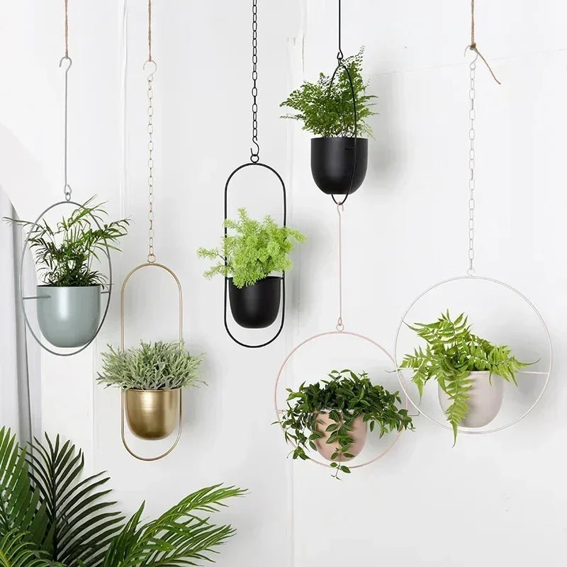 Wall Plant Hanger with Adjustable Chain