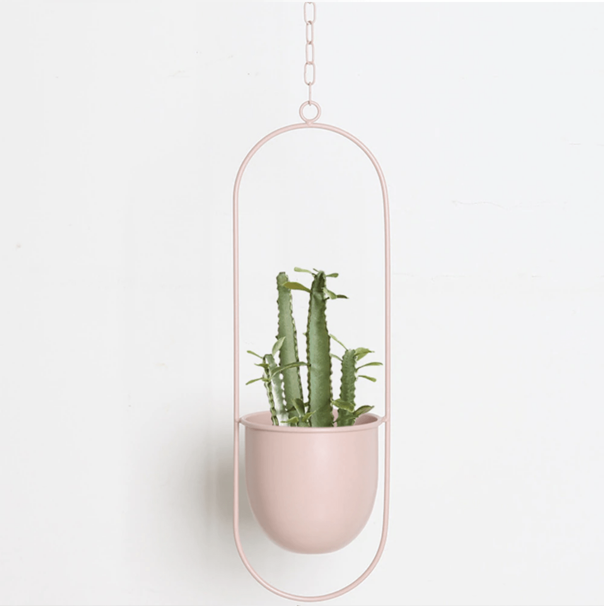 Wall Plant Hanger with Adjustable Chain