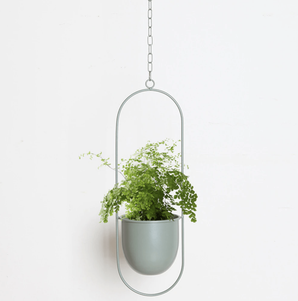 Wall Plant Hanger with Adjustable Chain