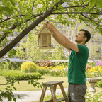 Wooden Bird Feeder with Water System — Gazebo Design