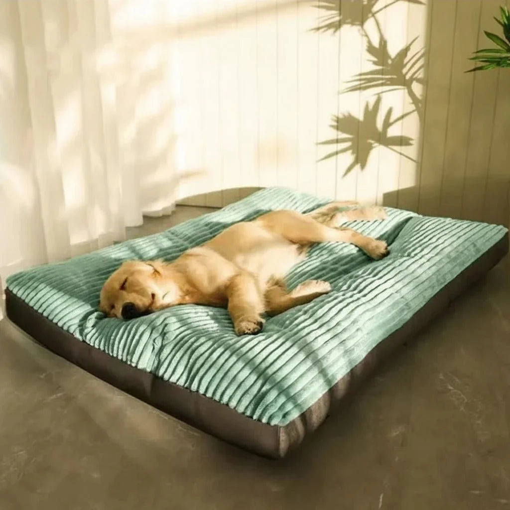 Soft Dog Bed - Foam Support & Cosy Rest