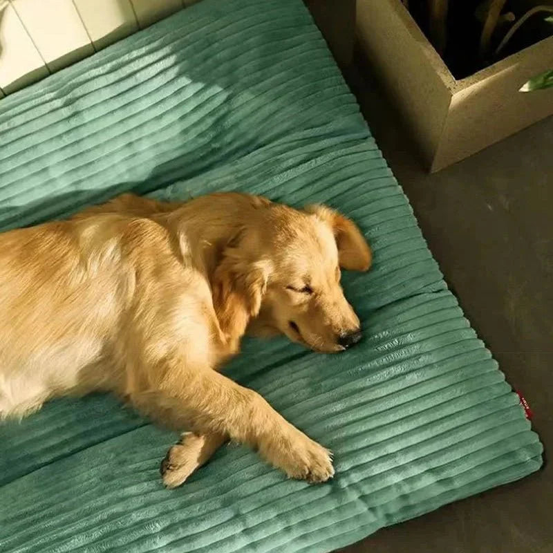 Soft Dog Bed - Foam Support & Cosy Rest