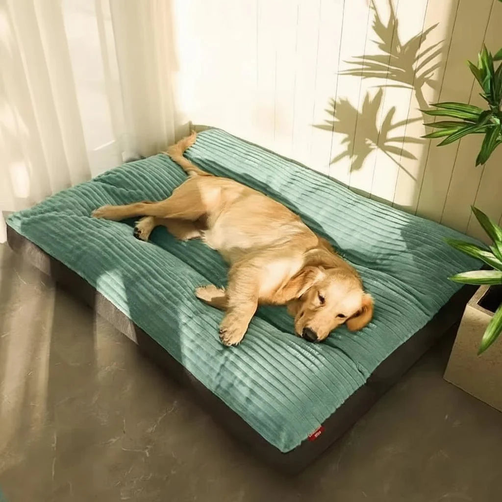 Soft Dog Bed - Foam Support & Cosy Rest