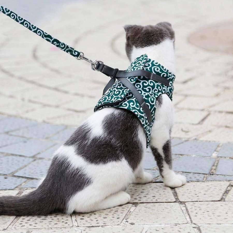 Cat Harness Set with Leash — Escape-Proof