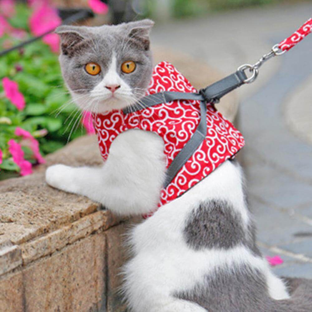 Cat Harness Set with Leash — Escape-Proof