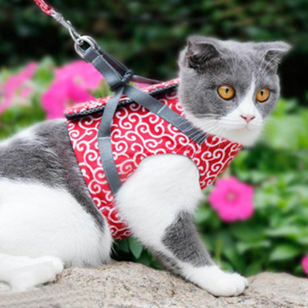 Cat Harness Set with Leash — Escape-Proof