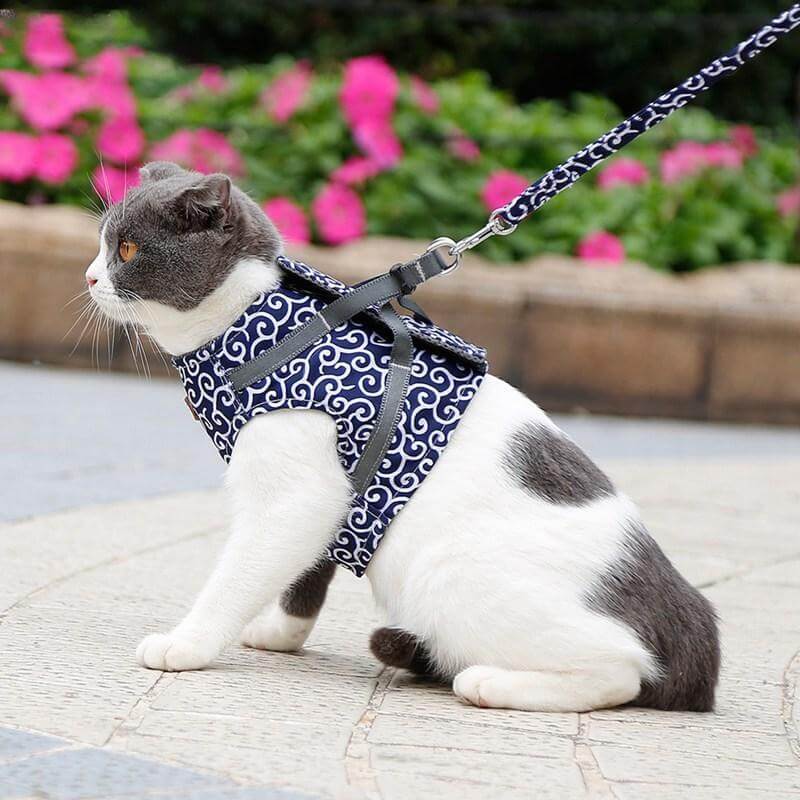 Cat Harness Set with Leash — Escape-Proof
