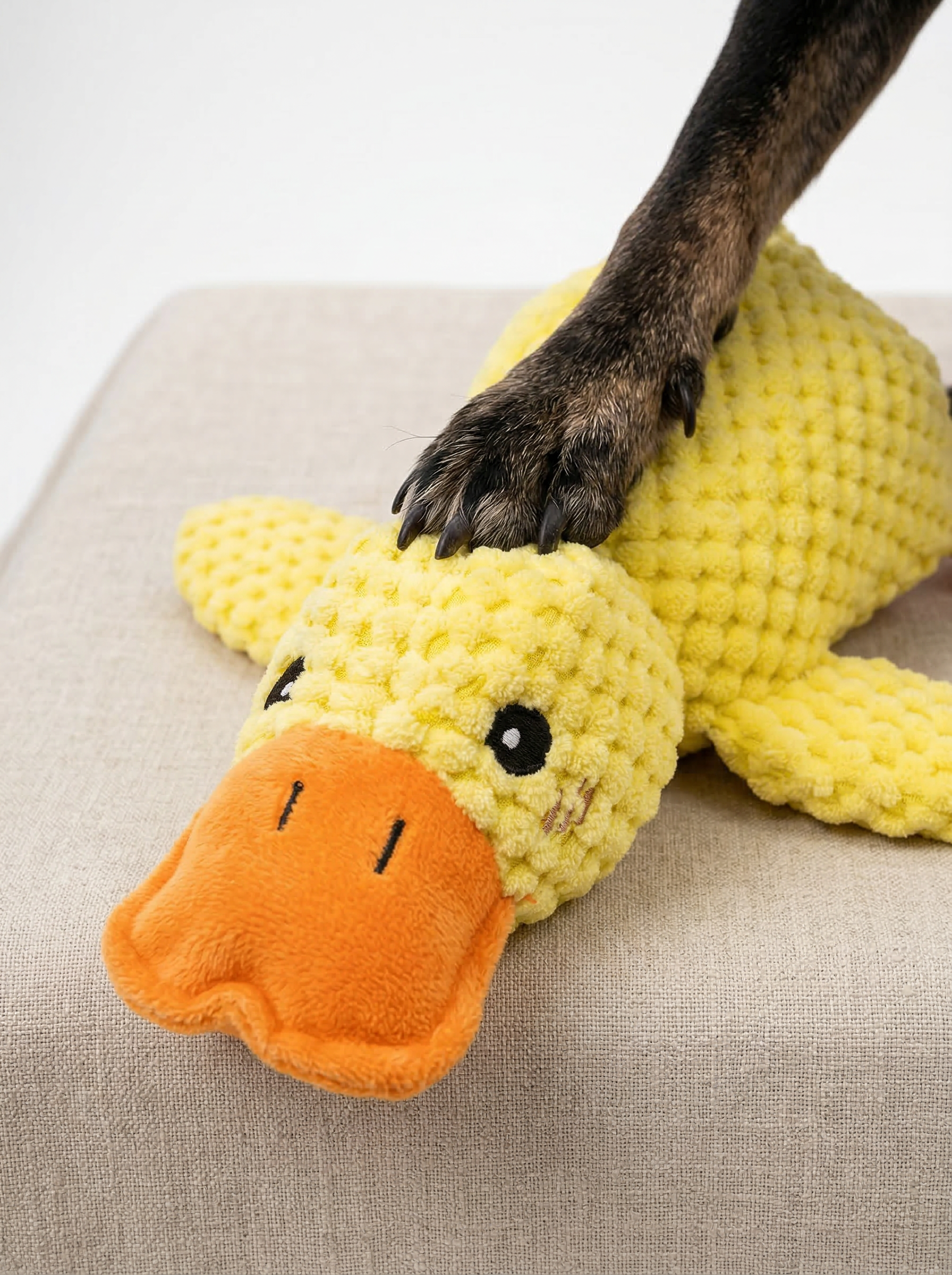 Plush Duck Dog Toy with Squeaker