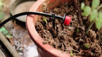 Drip Irrigation Kit — Adjustable Nozzles 20 M close-up detail of feature
