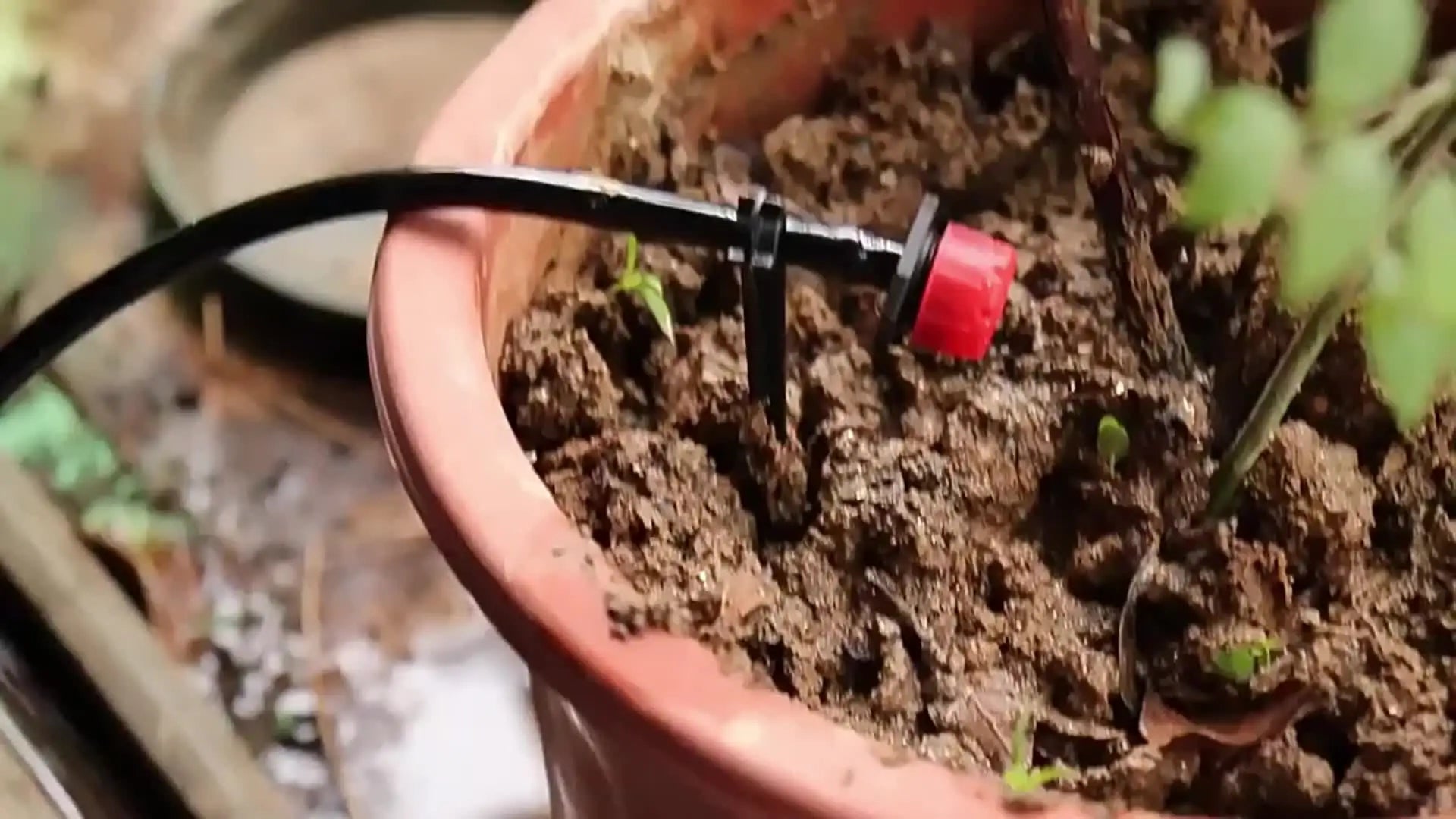 Drip Irrigation Kit — Adjustable Nozzles 20 M close-up detail of feature