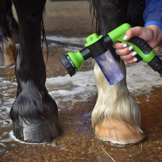 Green foam hose nozzle gun washing a dark horse's lower leg with soap foam, outdoor stable setting