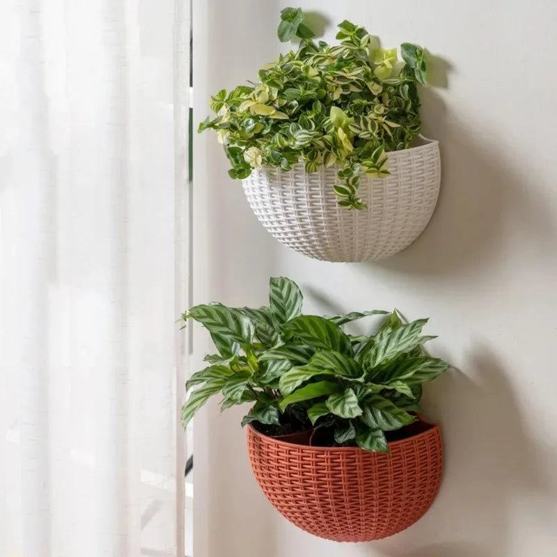 White wicker-style wall planter with trailing green plant on clean white background