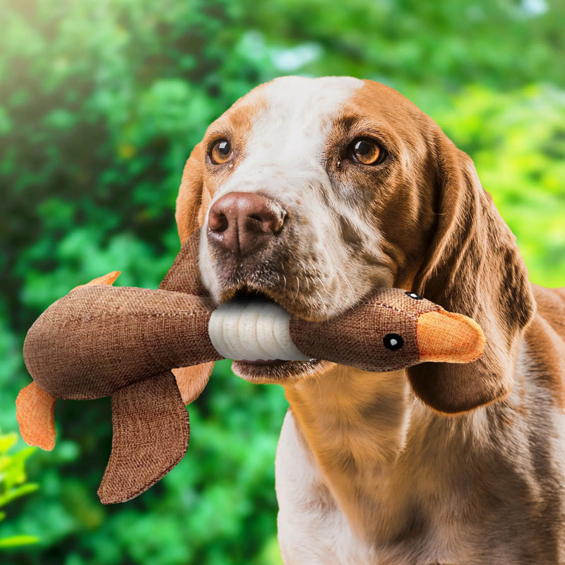 Duck shaped dog toy brown fabric with orange details on white studio background front view