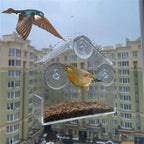 Clear acrylic window bird feeder full product view on white background, house-shaped roof and suction cup mounts visible