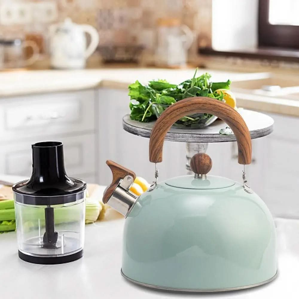 Black stovetop whistling kettle 3 litre stainless steel on ceramic hob, modern kitchen, side angle view