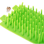 Corgi dog with paw inside green dog paw cleaner cup, lifestyle use near back door of home