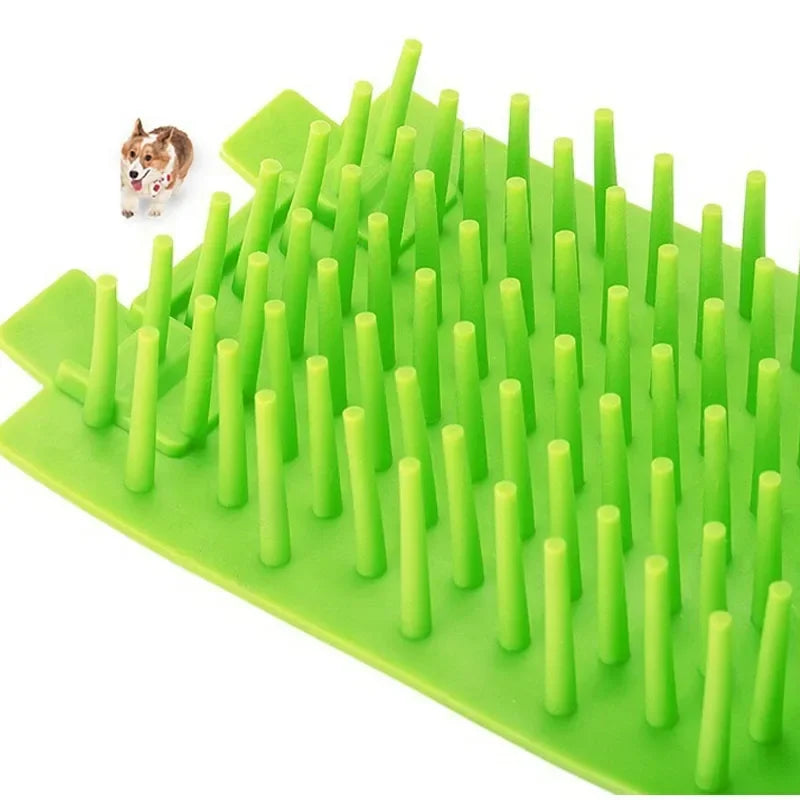 Corgi dog with paw inside green dog paw cleaner cup, lifestyle use near back door of home