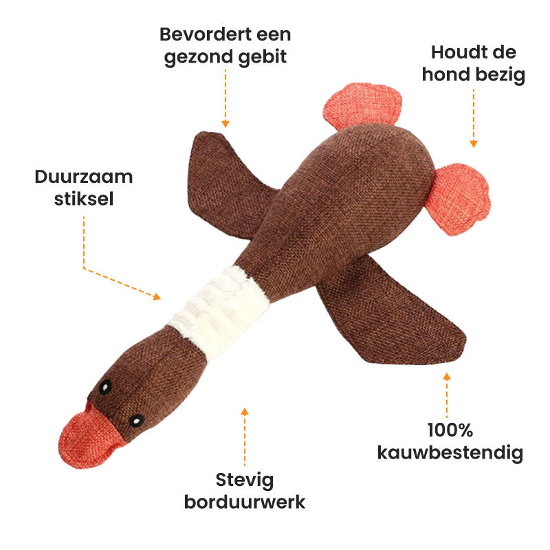 Brown and white spaniel playing with blue fabric duck toy in garden grass setting