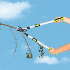 Outdoor garden scene telescopic shears cutting high tree branch natural daylight