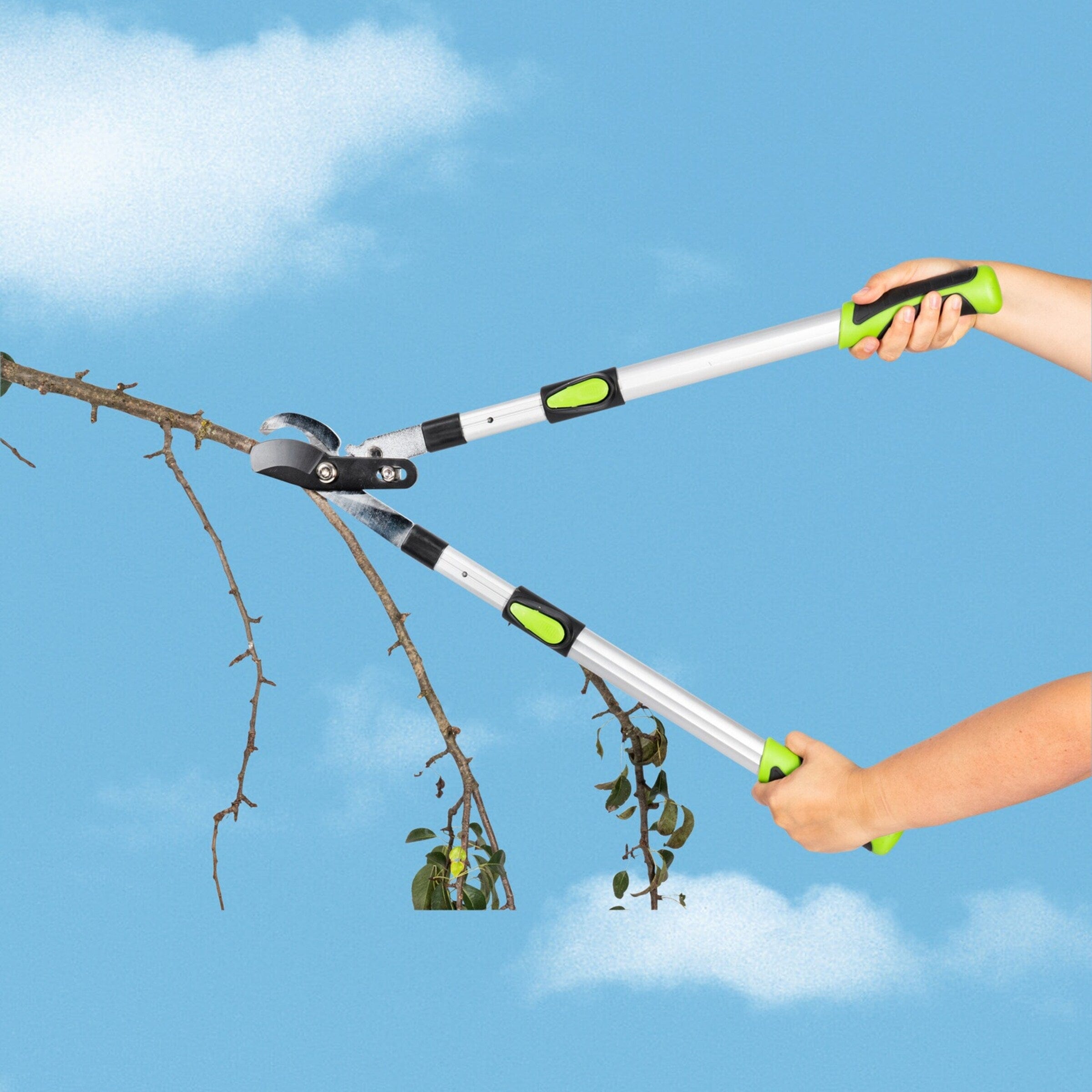 Outdoor garden scene telescopic shears cutting high tree branch natural daylight