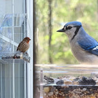 Close-up of clear acrylic bird feeder tray filled with sunflower seeds and grain, transparent material detail