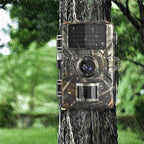 Weatherproof trail camera installed in forest environment for wildlife monitoring