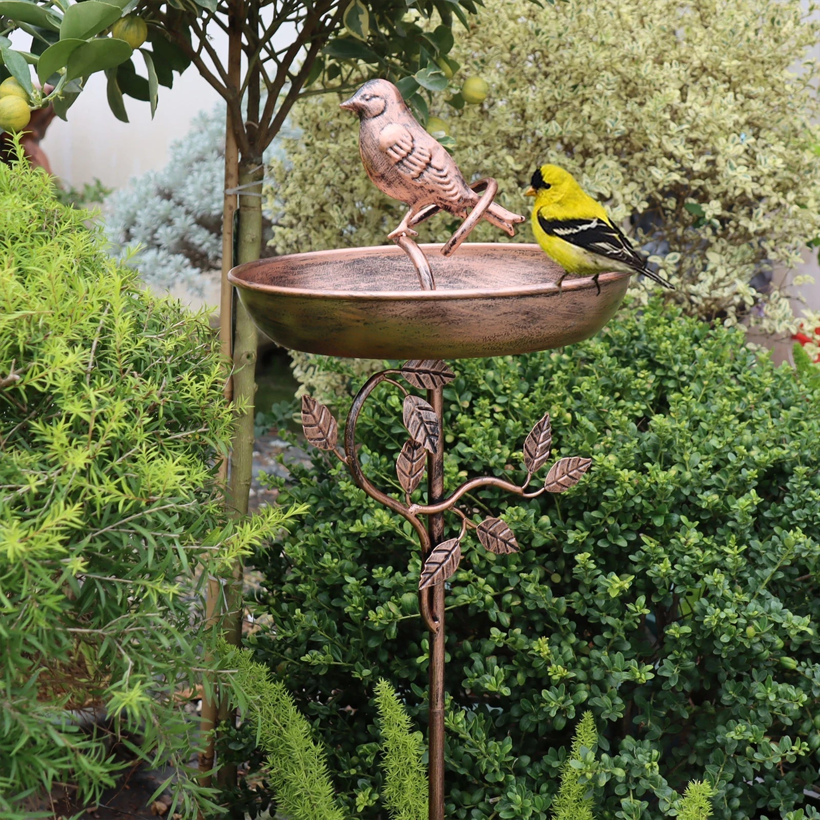 Garden Bird Bath with Stand — Metal Copper Finish side angle showing dimensions