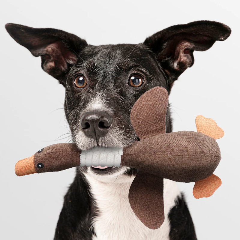 Duck Dog Toy — Strong Fabric Chew Resistant side angle showing dimensions