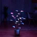 LED Plant Light — Programmable Ambient Lighting mounted in modern interior