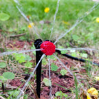 Green quick-connect tap connector from drip irrigation kit being attached to standard outdoor garden tap on brick wall