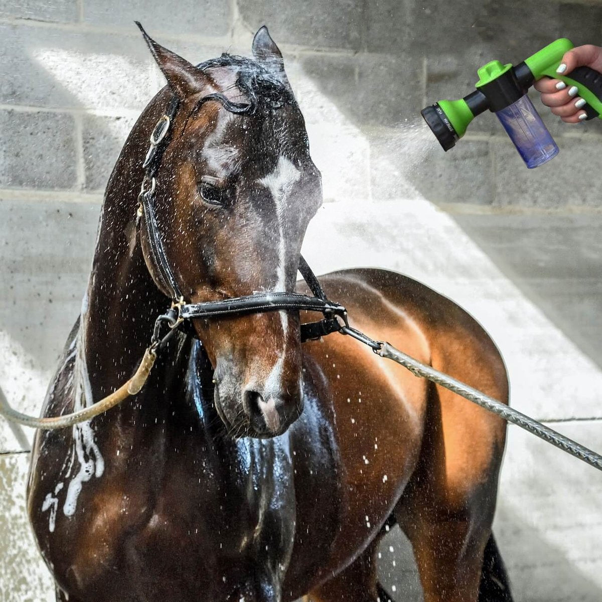 Foam Hose Nozzle Gun with Soap Dispenser mounted in modern interior