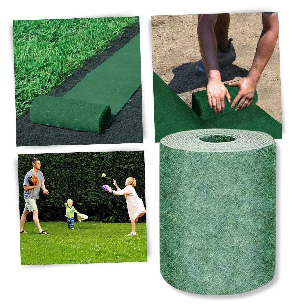 Grass Seed Mat 2-Pack — Biodegradable Roll-Out mounted in modern interior