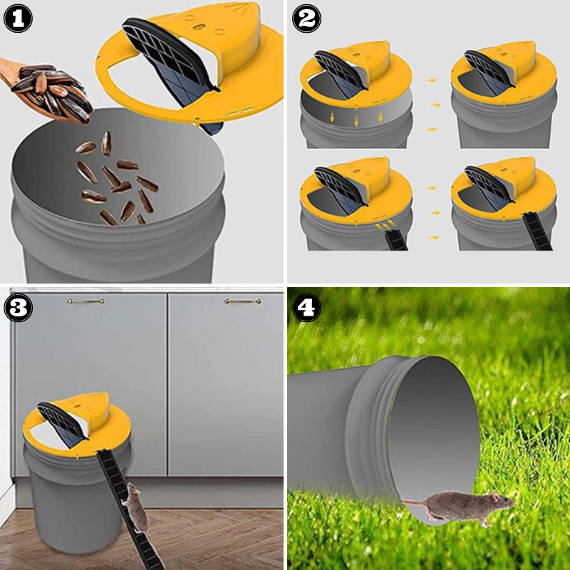 Humane Mouse Trap — Bucket Lid with Safe Release mounted in modern interior