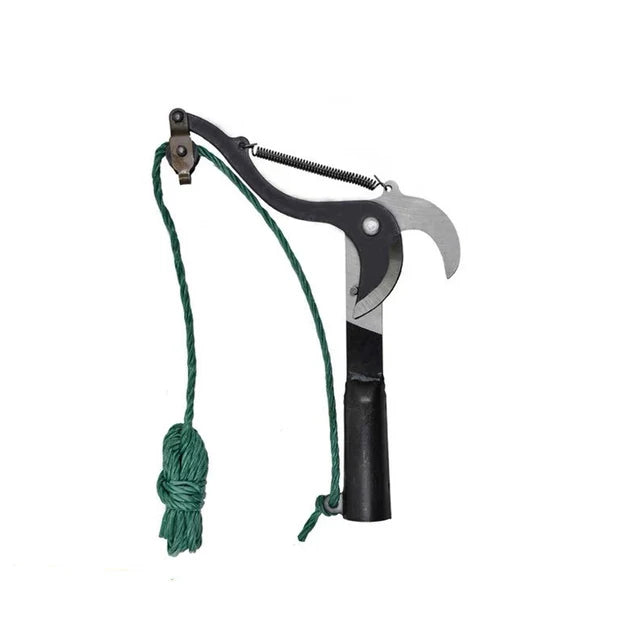 Branch pruner hanging on garden shed pegboard alongside gardening tools, styled overhead garden setting