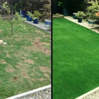 Grass Seed Mat 2-Pack — Biodegradable Roll-Out styled with home decor
