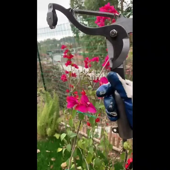 Long-Reach Branch Pruner with Rope front view on neutral background